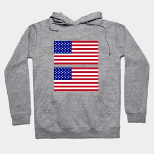 USA Flag x2 Hoodie